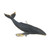 CollectA Hump Back Whale