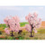 Noch Almond Trees 2pcs