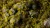 Gamers Grass Moss 2mm Grass Tufts