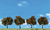 Woodland Scenics Apple Trees 2"-3" (4)