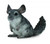 CollectA Chinchilla Long Tailed (M)