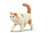 CollectA Cat Exotic Shorthair (S)