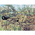 Italeri 1:72 German Pak 40 WWII