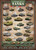 Eurographics History of Tanks 1000pc