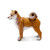 Safari Ltd Shiba Inu
