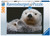 Ravensburger - Adorable Little Otter 500pc Puzzle