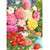 Holdson Peonies, Roses & Strawberries