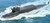 HobbyBoss 1:700 PLAN Type 094A Jin Class