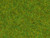 Noch Scatter Grass Spring Meadow