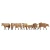 Noch HO Model Figures - Cows, Brown
