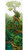 Heye Enigma Trees: Cyanide Tree
