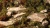 Gamers Grass Dry Green Shrubs 6mm Grass Tufts