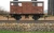 Hornby OO BR - Ex SR - 52297 - Cattle Wagon