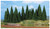 Heki Pine Trees 5-12cm (35)