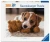 Ravensburger - Cuddle Buddies 500pc Puzzle