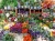 Ravensburger - Flower Market France 500pc Puzzle