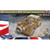 Gecko Models 1:35 WWII British Bedford MWR FFW Radio Command Truck Plastic Model Kit
