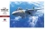 Hasegawa 1:48 Grumman F-14A Tomcat Plastic Model Kit