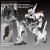 Bandai RG AV-98 Plus (Ingram Plus) Plastic Kit
