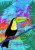 Ravensburger - Magical Toucan 300pc Puzzle