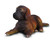 CollectA Great Dane Puppy Toy Figure