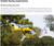Flywing Eurocopter EC-135 GPS RC Helicopter  - Yellow ADAC RTF