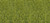 Heki Static Grass Spring, 10mm, 50g