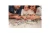 Eurographics Wood; American Gothic 1000pc Puzzle