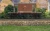 Hornby 1:76 Scale 00 Gauge BR Brake Van Southern Region #950792