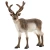 Schleich® Reindeer