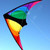 Windspeed Kites Stinger Stunt Kite
