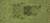 Heki Leaf Foliage Med.Green