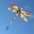 Windspeed Kites Dragonfly Kite