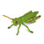 CollectA Grasshopper