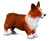 CollectA Welsh Corgi