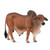 CollectA Brahman Bull Red