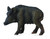 CollectA Wild Sow
