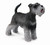 CollectA Schnauzer