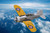 HobbyBoss 1:72 US F2A Buffalo