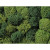 Noch Lichen Green Mix 35g