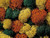 Noch Lichen Autumn Mix 75g
