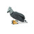 Safari Ltd Harpy Eagle