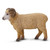 Safari Ltd Ram