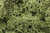 Woodland Scenics Lichen Spring Green Bag