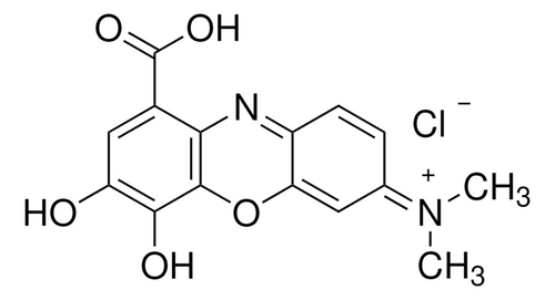 gallocyanine