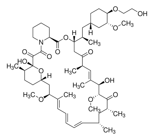 everolimus solution