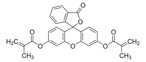 fluorescein o,o'-dimethacrylate