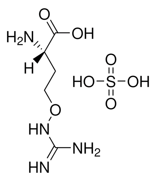 l-canavanine sulfate salt (c15-1223-983)
