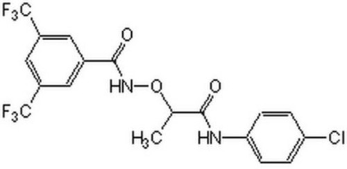 rho/srf pathway inhibitor, ccg-1423 - cas 285986-88-1 - calbiochem