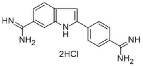dapi stain 1pc x 5mg